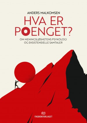 Bokomslag HVa er poenet av Anders Malkomsen