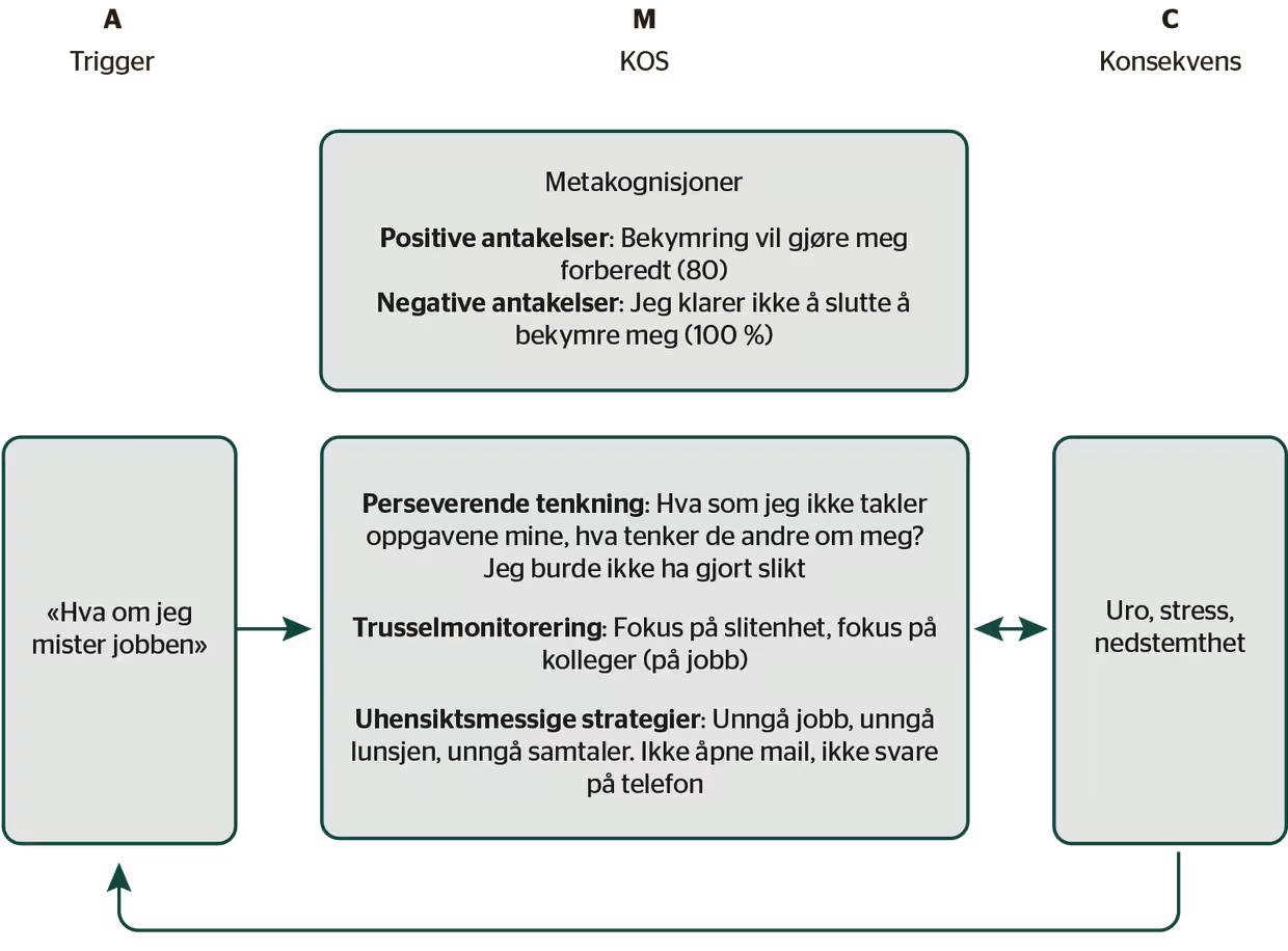 skjematisk oversikt kasusformulering A-M-C