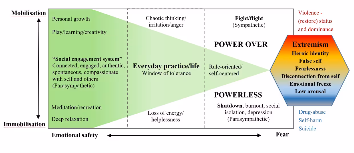 A flow diagram summarising the main stages of the suitability assessment process