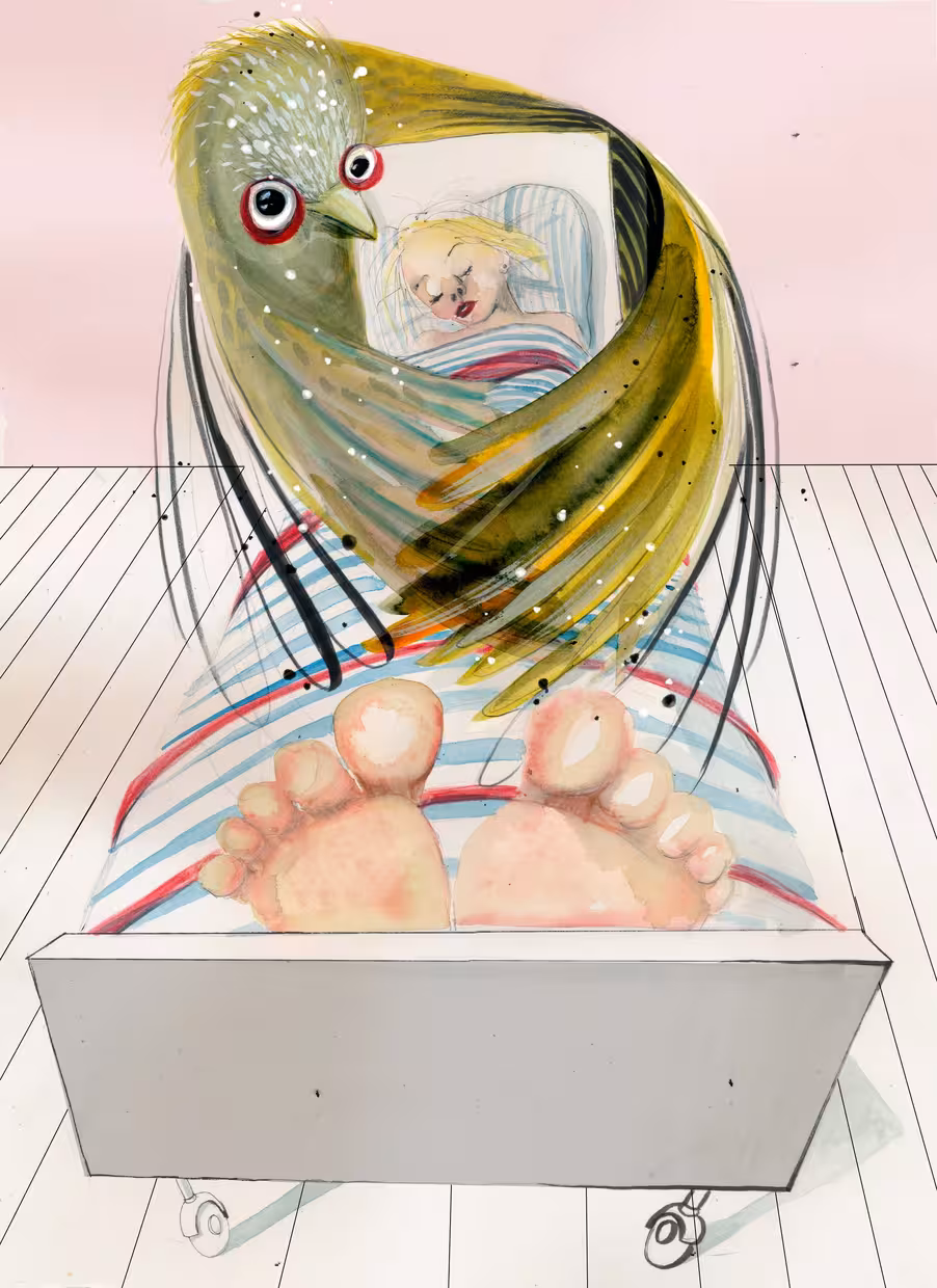 Illustrasjon: Hilde Thomsen